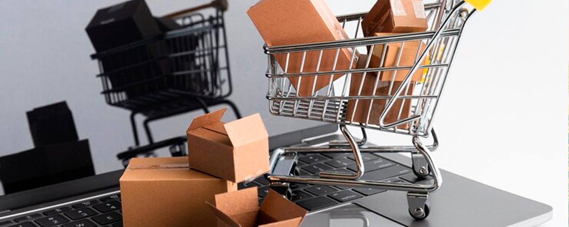 Expanda Suas Vendas com Tecnologia